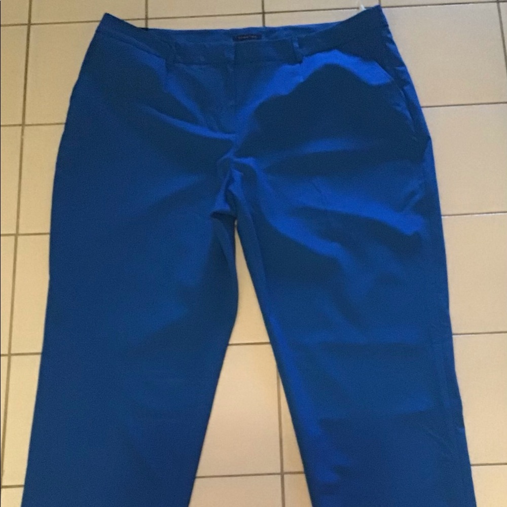 Royal blue pants